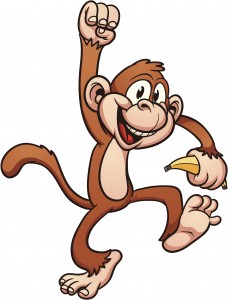 monkey